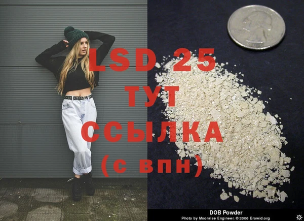 индика Нефтекумск