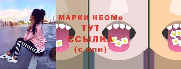 индика Нефтекумск