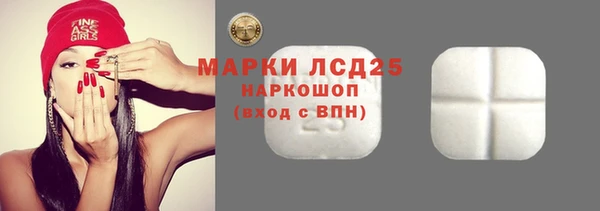 индика Нефтекумск
