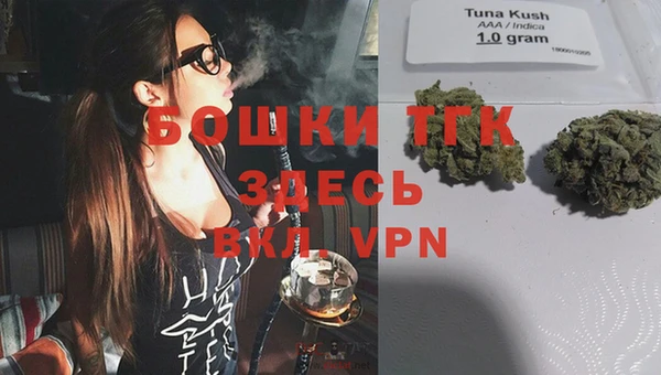 индика Нефтекумск