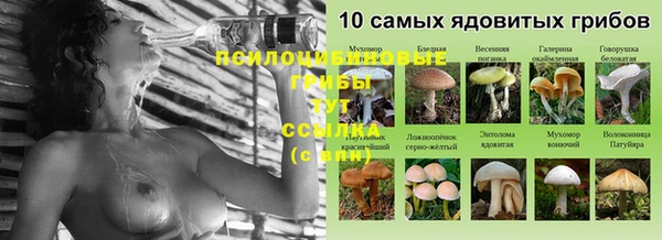 индика Нефтекумск