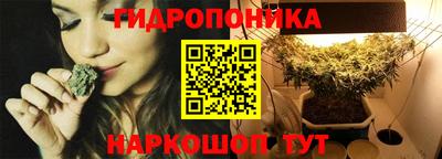 амф Заволжье