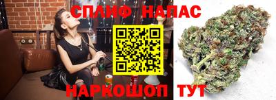 амф Заволжье